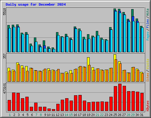 Daily usage for December 2024