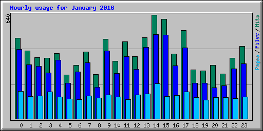 Hourly usage for January 2016
