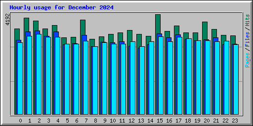 Hourly usage for December 2024