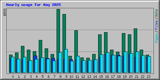 Hourly usage for May 2025