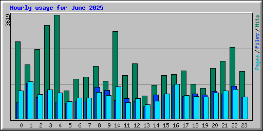 Hourly usage for June 2025