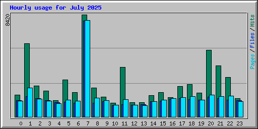 Hourly usage for July 2025